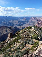 grand canyon (3).JPG